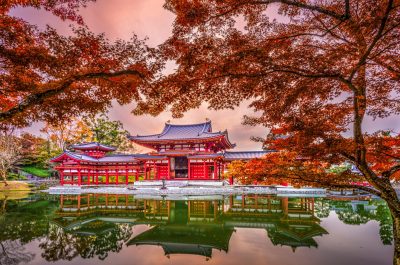 Uji, Kyoto, Japan at Byodoin Temple during autumn season.