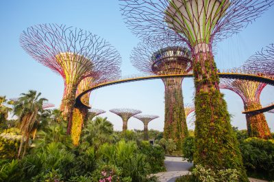 Marina Bay, Singapore - 23rd June 2015: Early evening view of the Supertrees Grove, and Cloud Forest Flower Dome at Gardens by the Bay