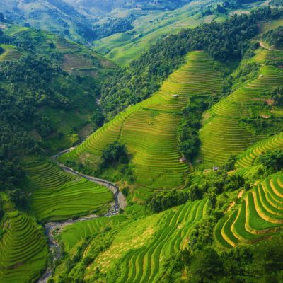 Aerial top view of paddy rice terraces, green agricultural fields in countryside or rural area of Mu Cang Chai, Yen Bai, mountain hills valley at sunset in Asia, Vietnam. Nature landscape background.